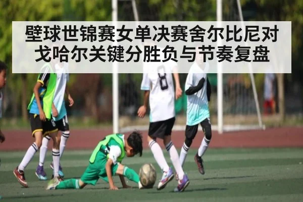 壁球世锦赛女单决赛舍尔比尼对戈哈尔关键分胜负与节奏复盘 - kaiyun
