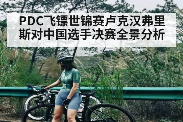 PDC飞镖世锦赛卢克汉弗里斯对中国选手决赛全景分析